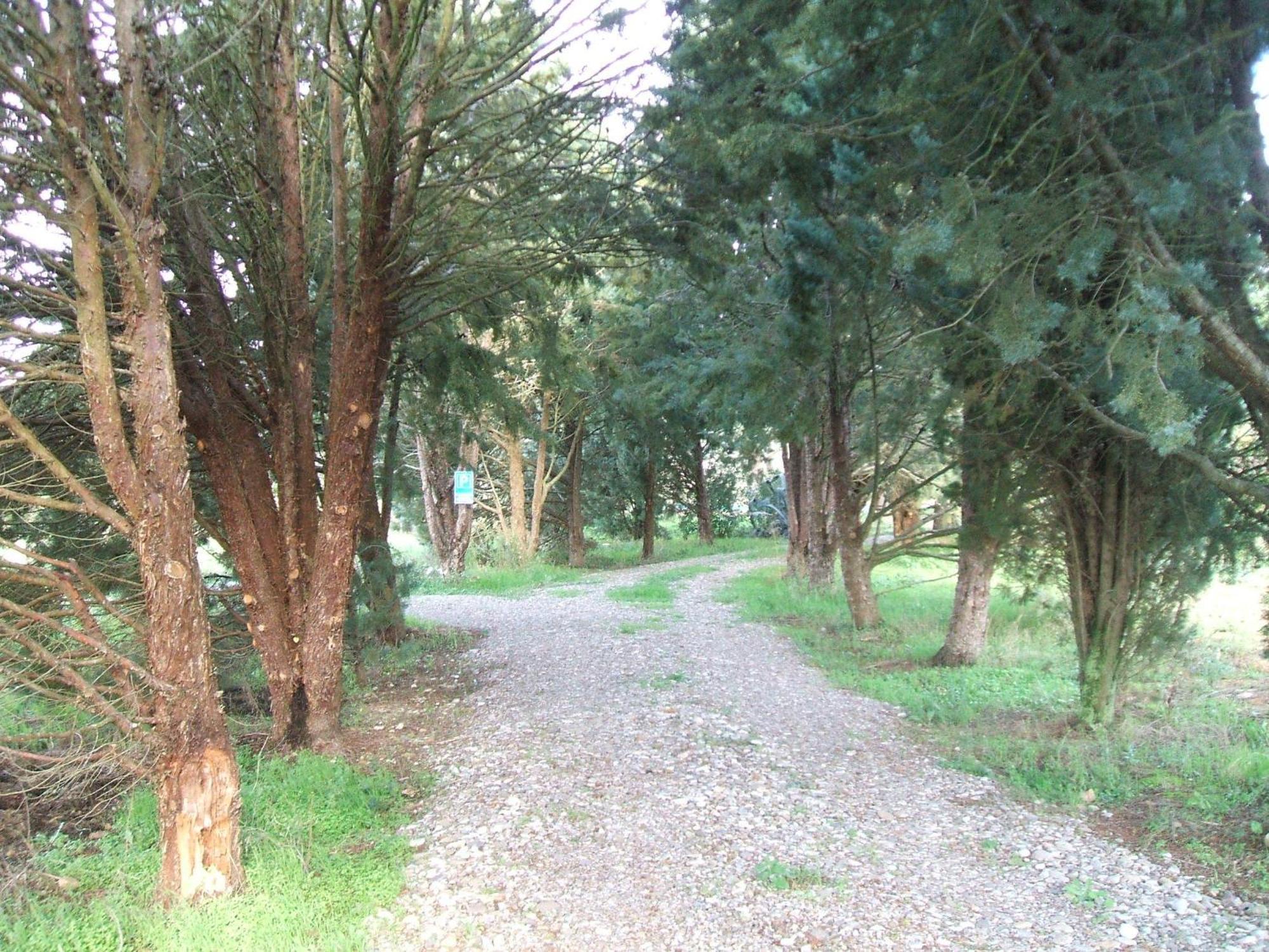 Casetta Francini Civitella Marittima Kültér fotó